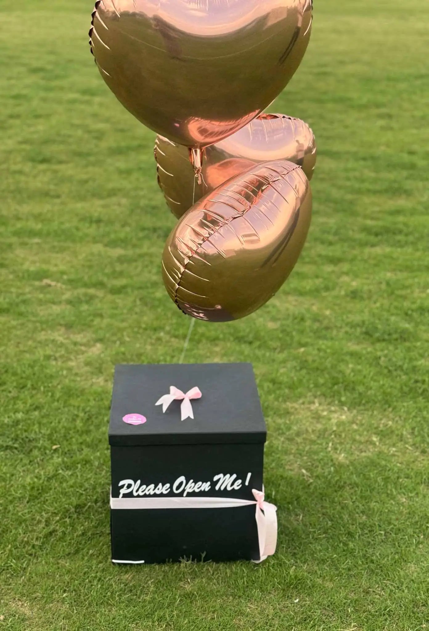 4-Sided Surprise Gift Box with Cake, Flowers, Teddy & Custom Message