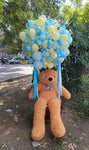 It’s A Boy/It’s A Girl!