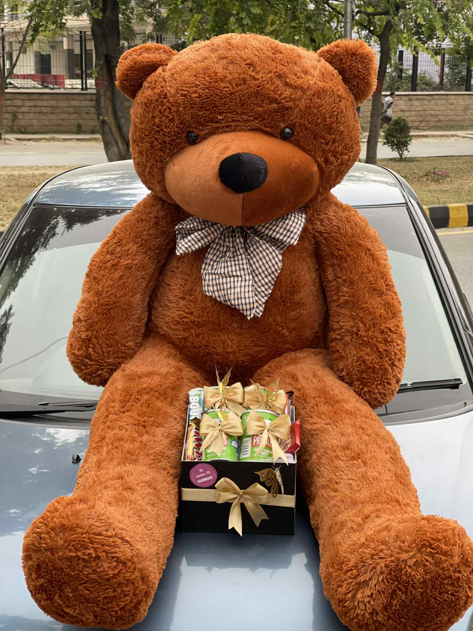 Giant 6 feet teddy bear in pink, white, red, or brown with a mini chocolate box, perfect birthday gift delivery in Pakistan.