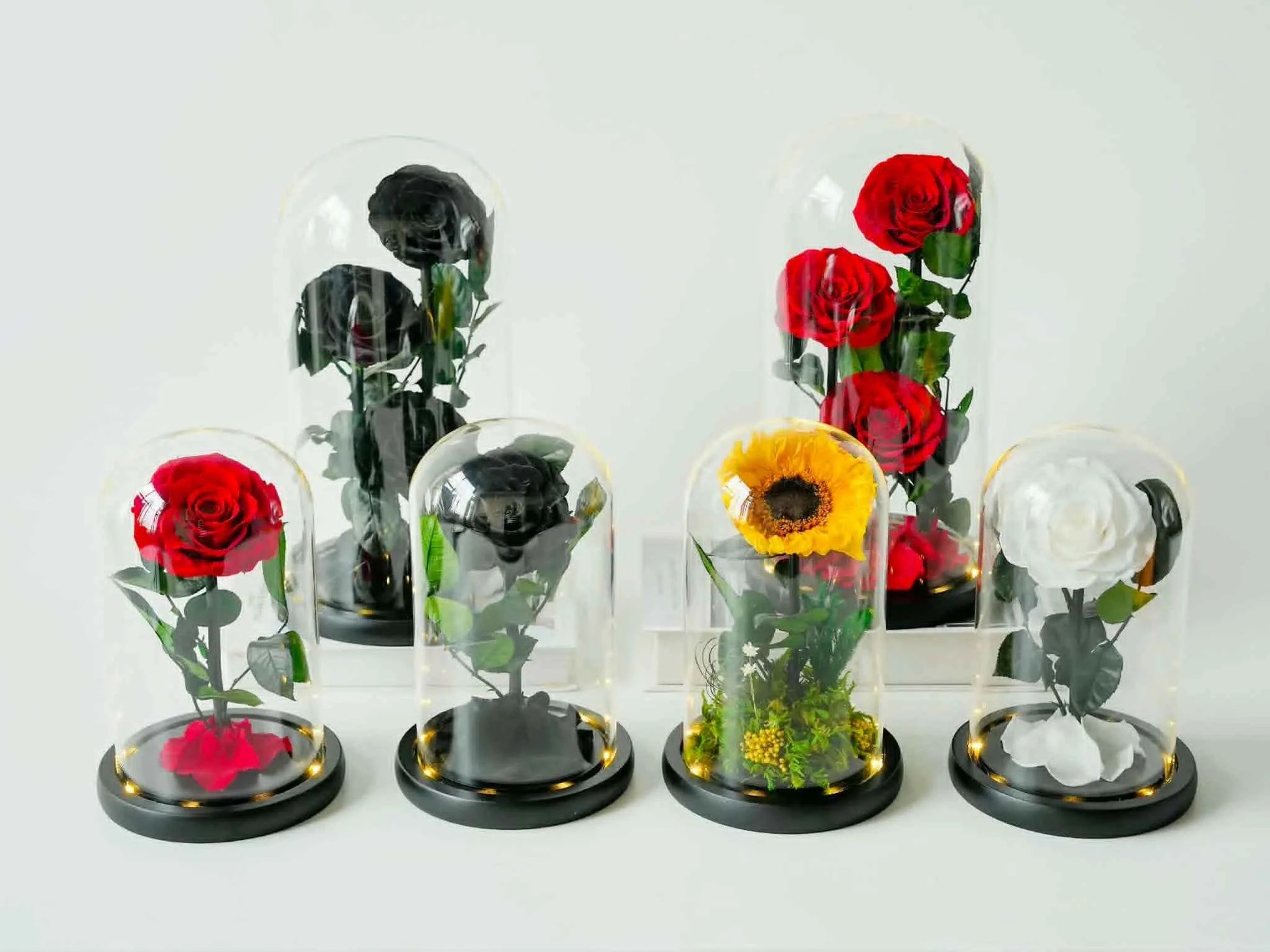 Eternal Bloom Dome – Luxury Forever Roses Islamabad in Glass (Multi-Color Edition)