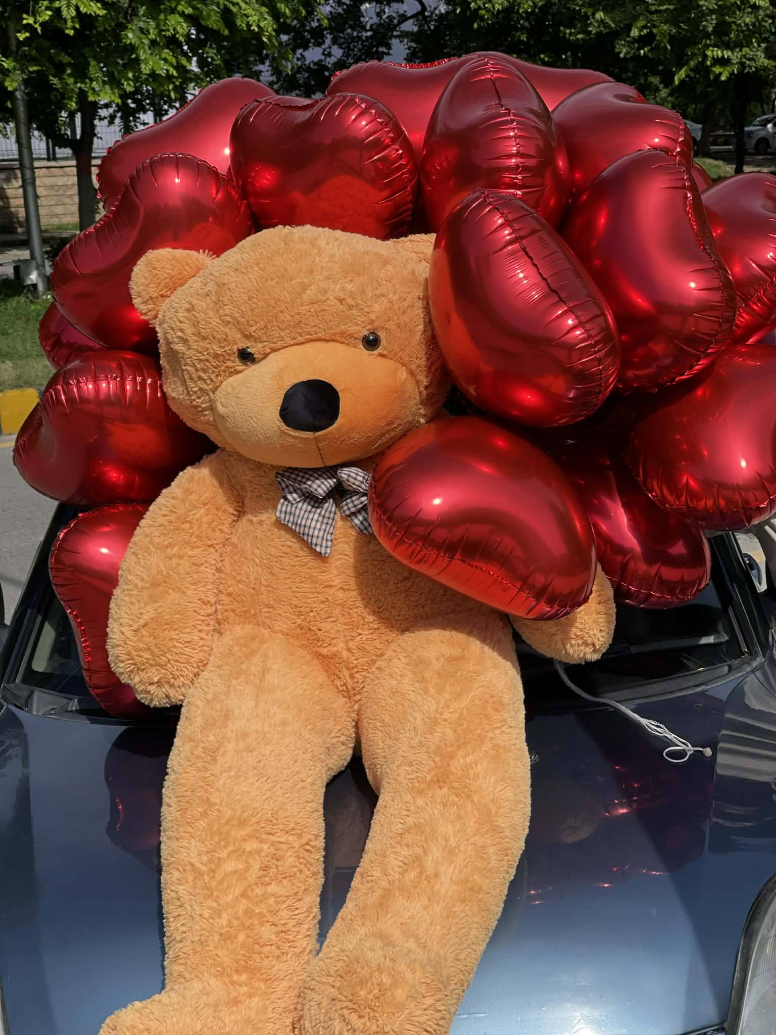 6 feet teddy bear with 20 helium balloons cute surprise gift
